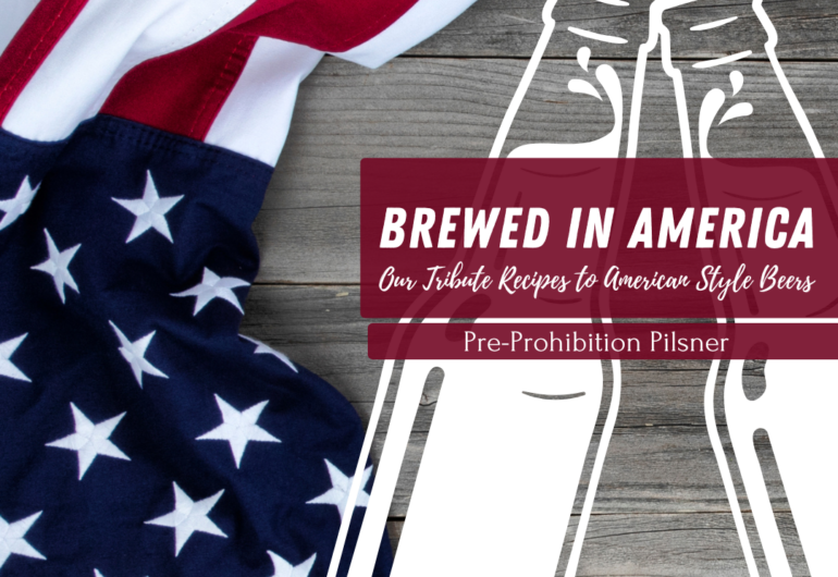 two beer bottle outlines clinking above an american flag for the perfect brewing supply pre prohibition pilsner blog